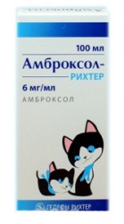 Амброксол сироп 6 мг/мл 100 мл 1 шт.
